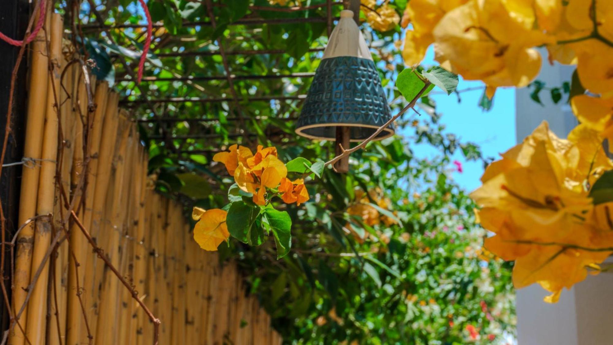 Villa Istanblue Kalkan Kaş Dış mekan fotoğraf